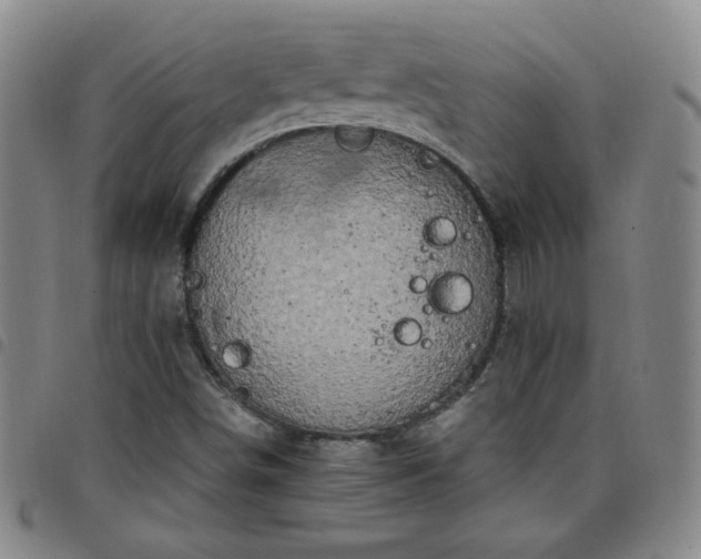 X0000098131498200804241637