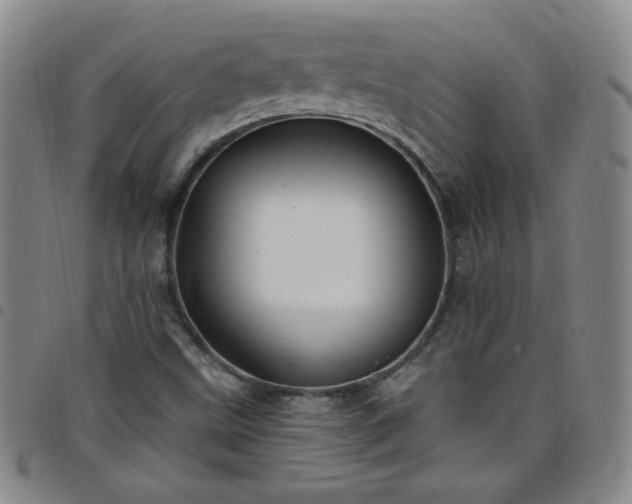 X0000098131499200804241637