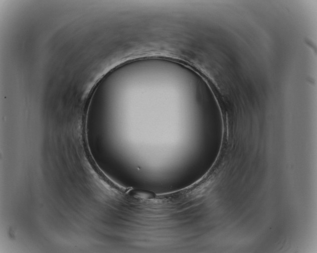 X0000098131500200804241637