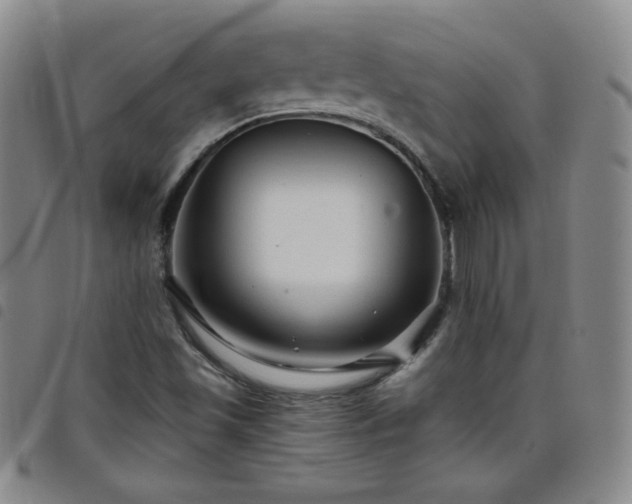 X0000098131501200804241637