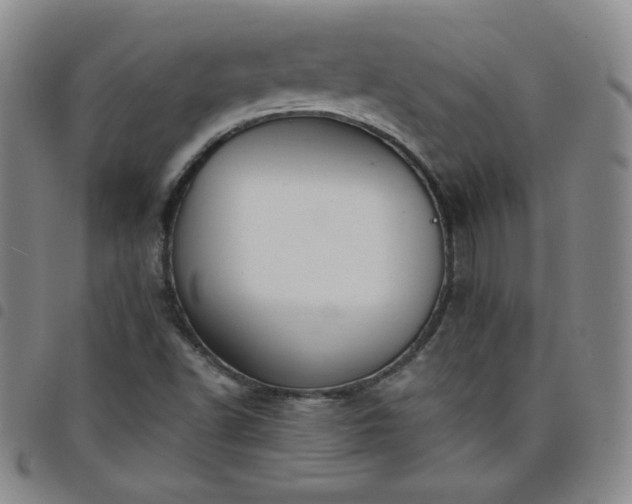 X0000098131502200804241637