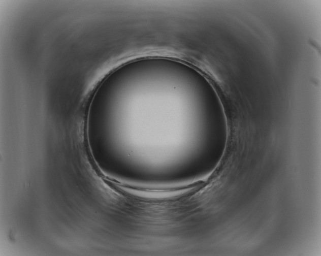 X0000098131504200804241637
