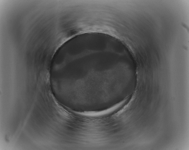 X0000098131505200804241637