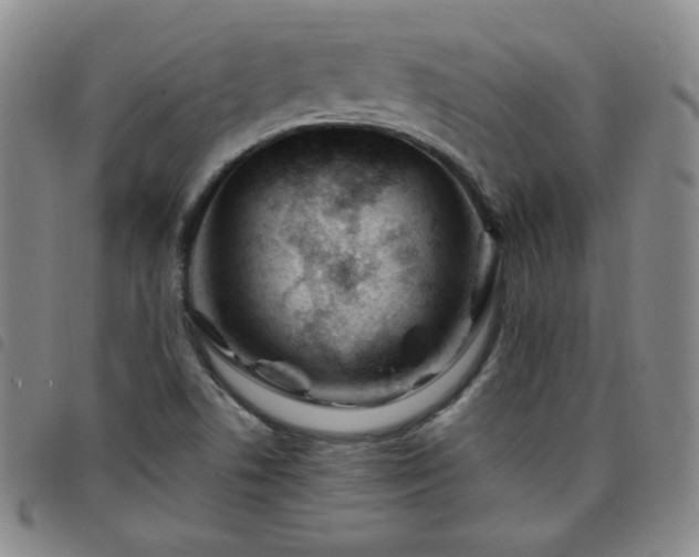 X0000098131506200804241637