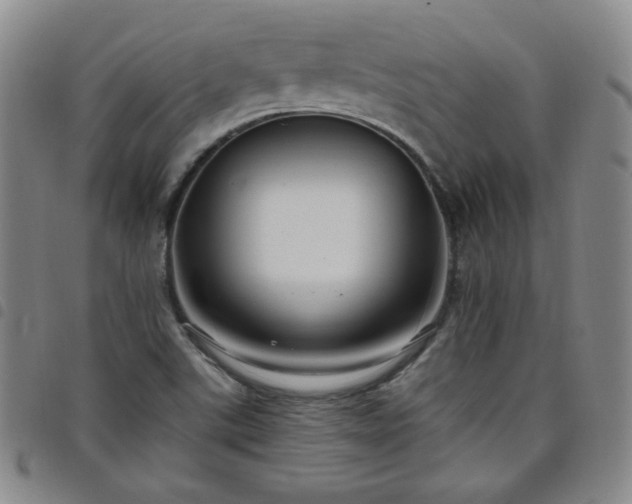 X0000098131507200804241637