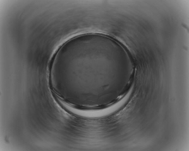 X0000098131508200804241637