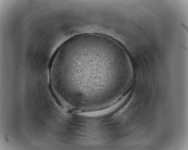 X0000098131509200804241637