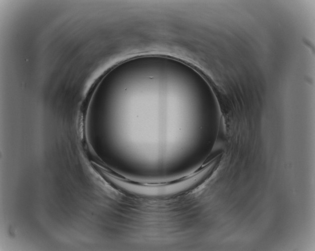 X0000098131510200804241637