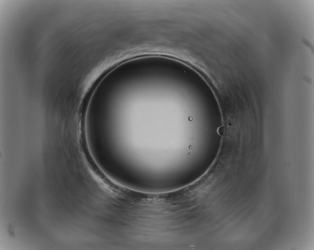 X0000098131511200804241637