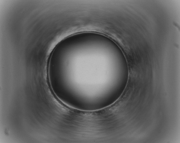 X0000098131512200804241637
