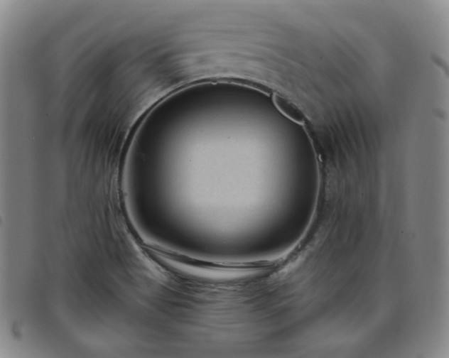 X0000098131513200804241637