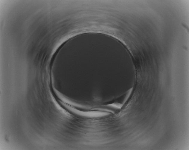 X0000098131515200804241637