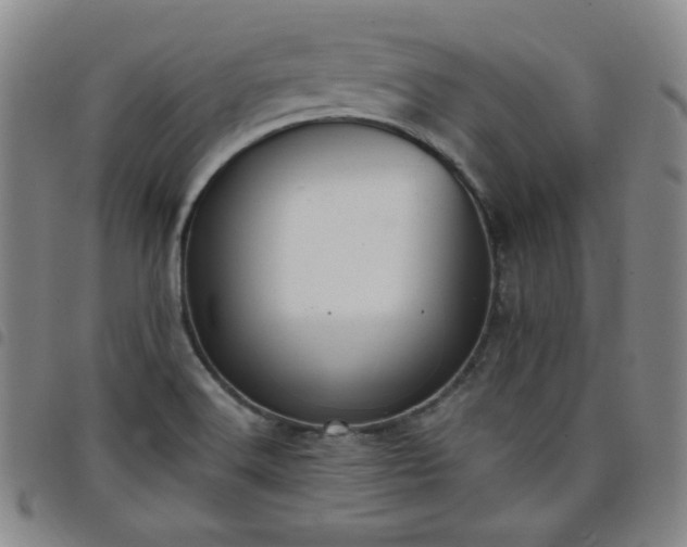 X0000098131516200804241637