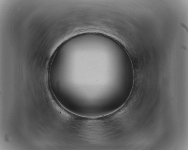 X0000098131518200804241637