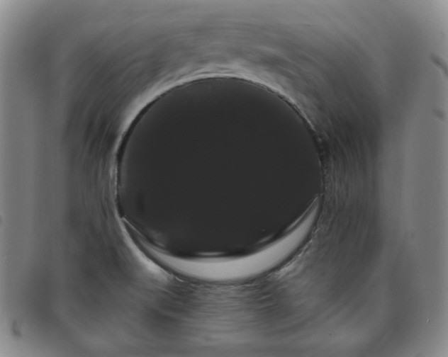 X0000098131519200804241637