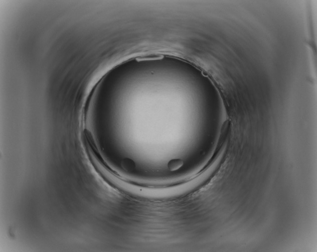 X0000098131520200804241637