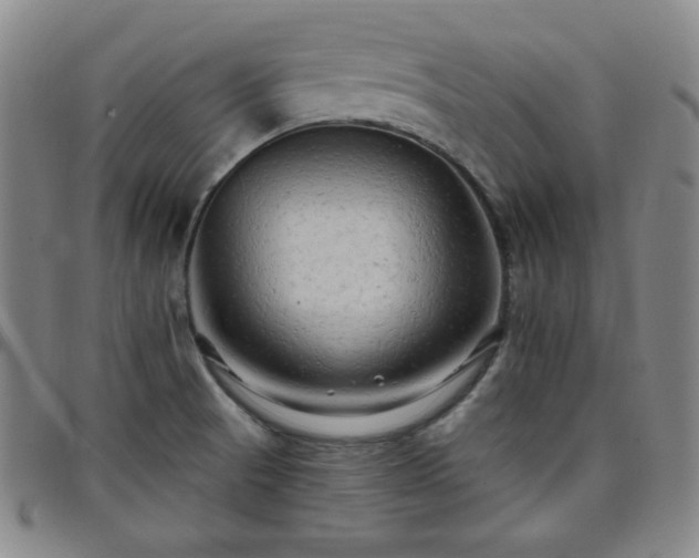 X0000098131521200804241637