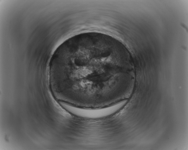 X0000098131522200804241637