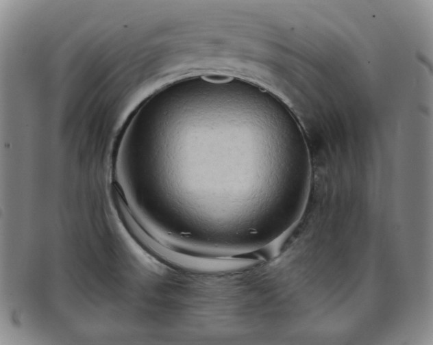 X0000098131523200804241637