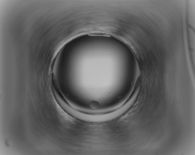 X0000098131524200804241637