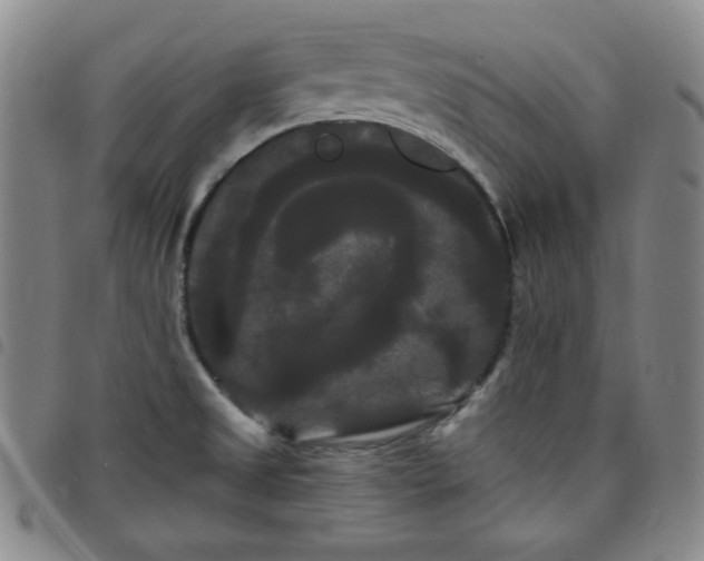 X0000098131525200804241637