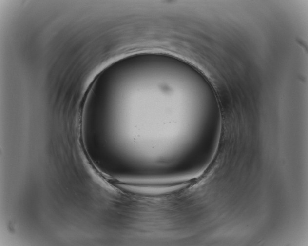 X0000098131526200804241637