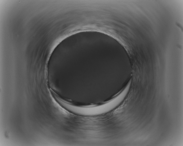 X0000098131527200804241637