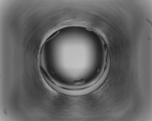 X0000098131528200804241637