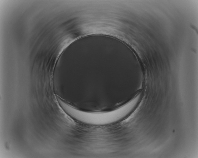 X0000098131529200804241637