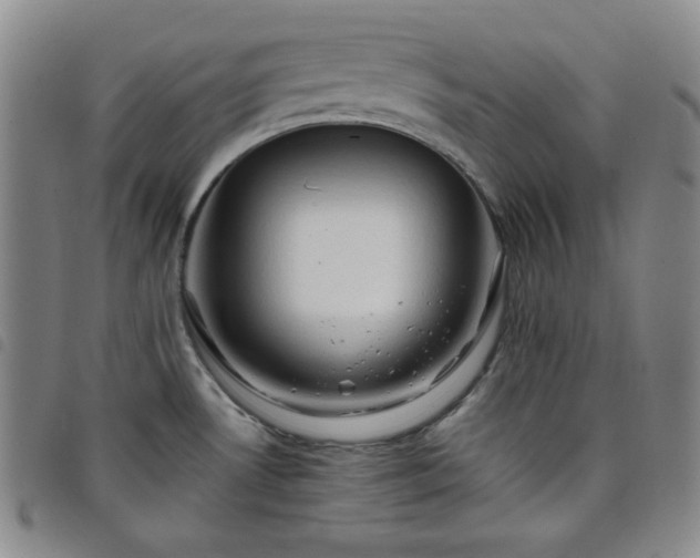 X0000098131530200804241637