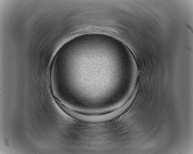 X0000098131531200804241637