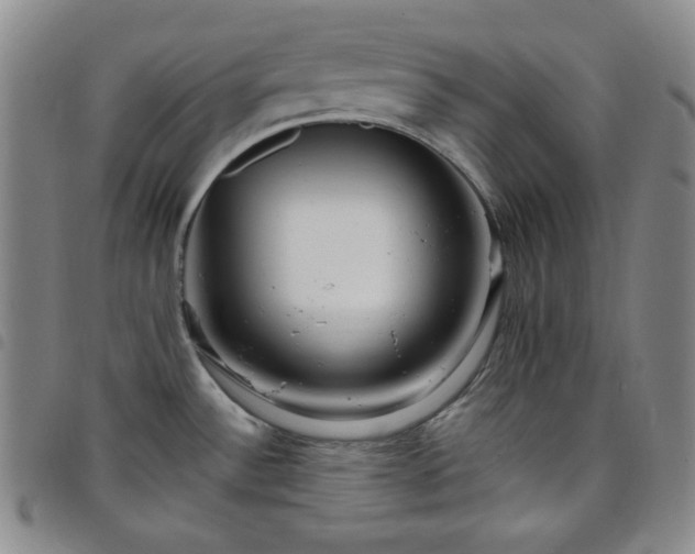 X0000098131532200804241637