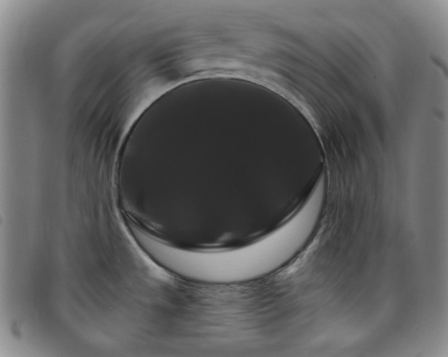 X0000098131533200804241637