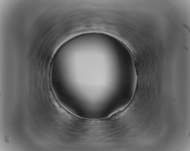 X0000098131534200804241637