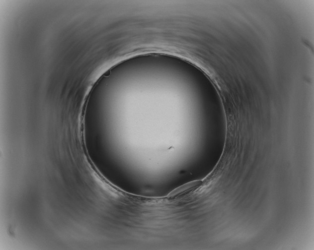 X0000098131535200804241638