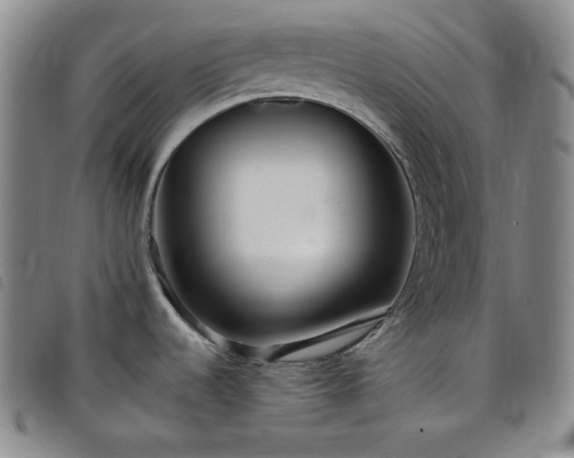 X0000098131536200804241638