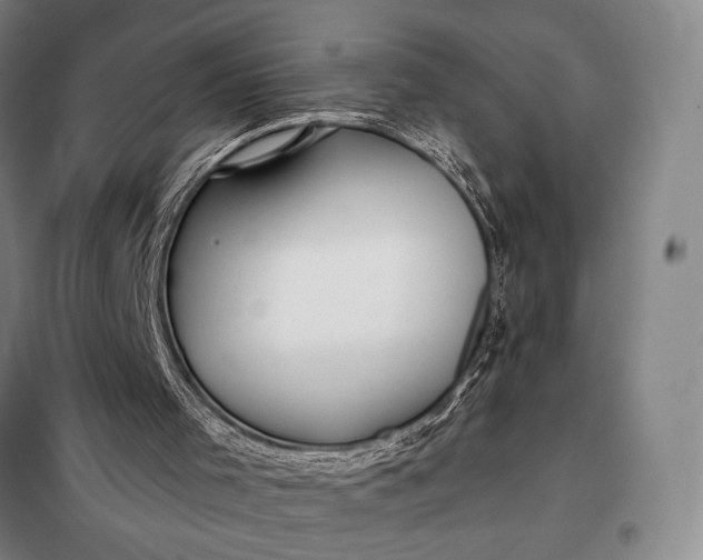 X0000098130001200805011331
