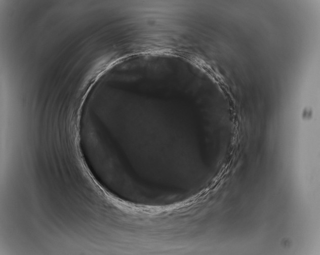 X0000098130002200805011331