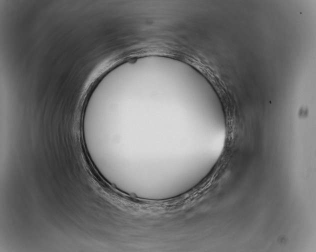 X0000098130004200805011331