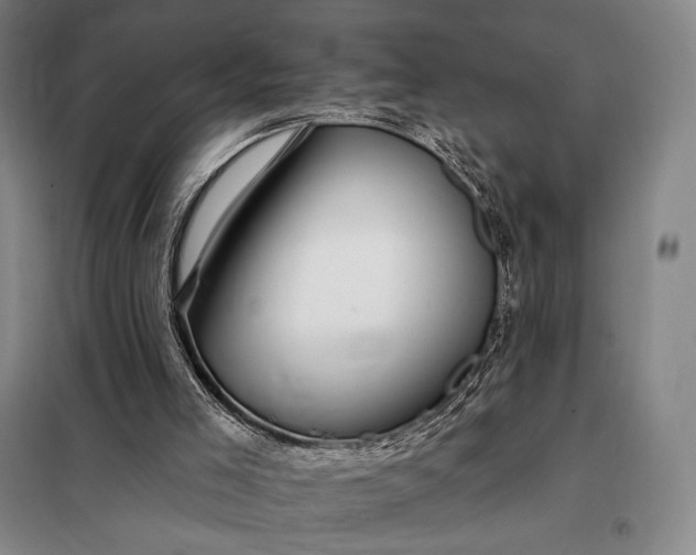 X0000098130005200805011331