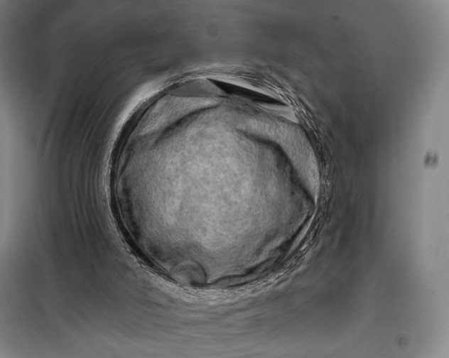 X0000098130006200805011331