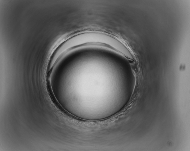 X0000098130007200805011331