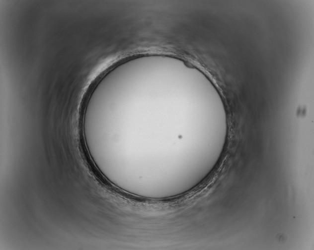 X0000098130008200805011331