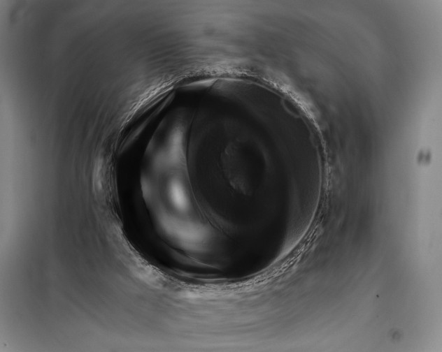X0000098130009200805011331
