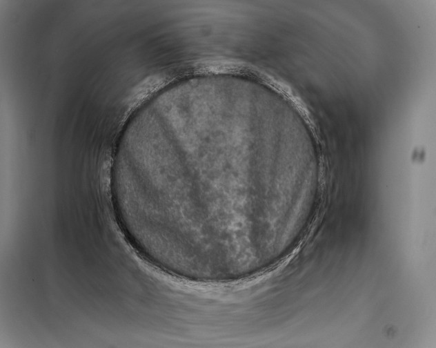 X0000098130010200805011331