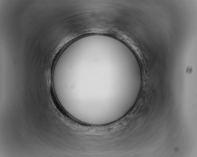 X0000098130011200805011331