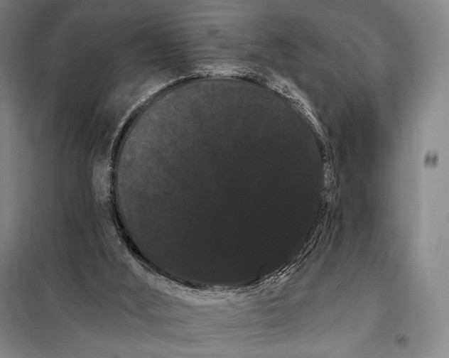 X0000098130012200805011331