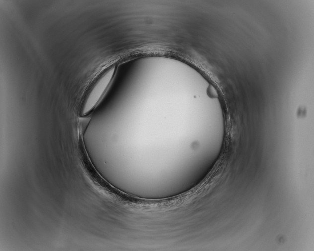 X0000098130013200805011331