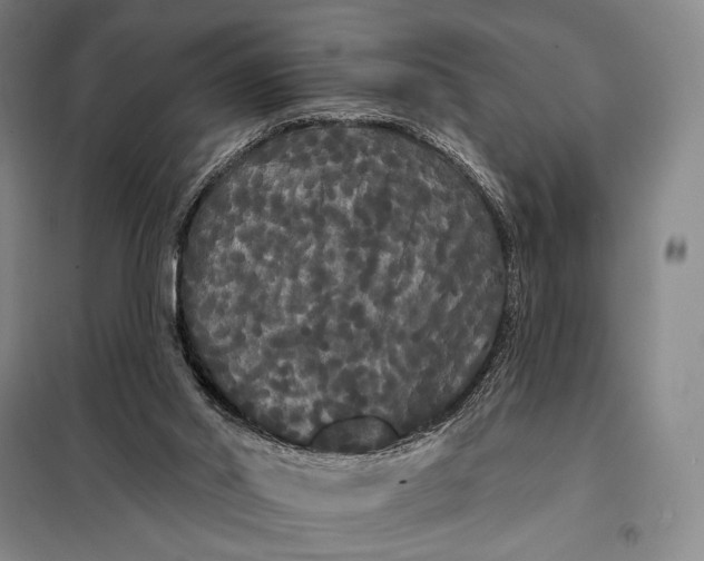 X0000098130014200805011331