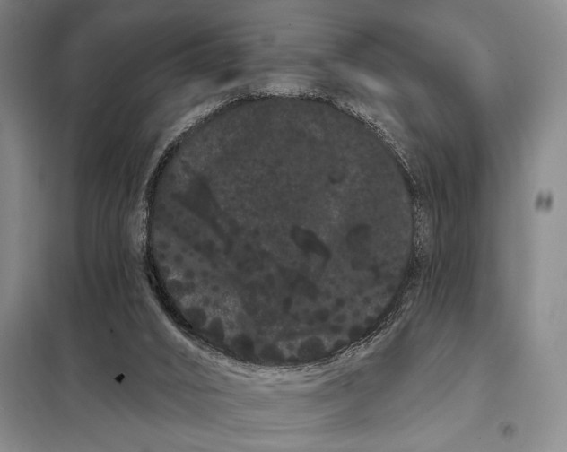 X0000098130016200805011331